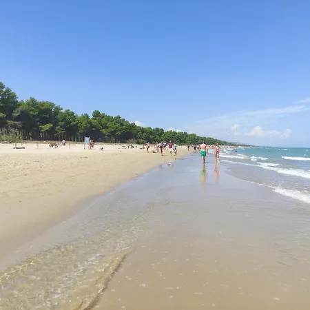 Casa Villino Dei Poeti Villa Pineto